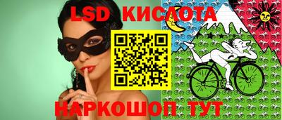 СК Ярославль