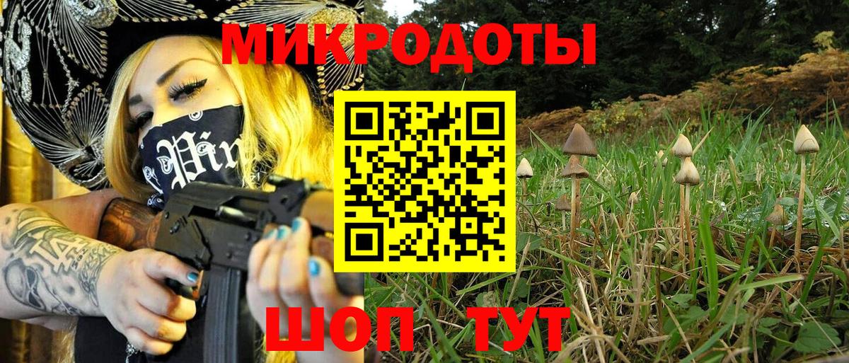 Галлюциногенные грибы прущие грибы Белорецк